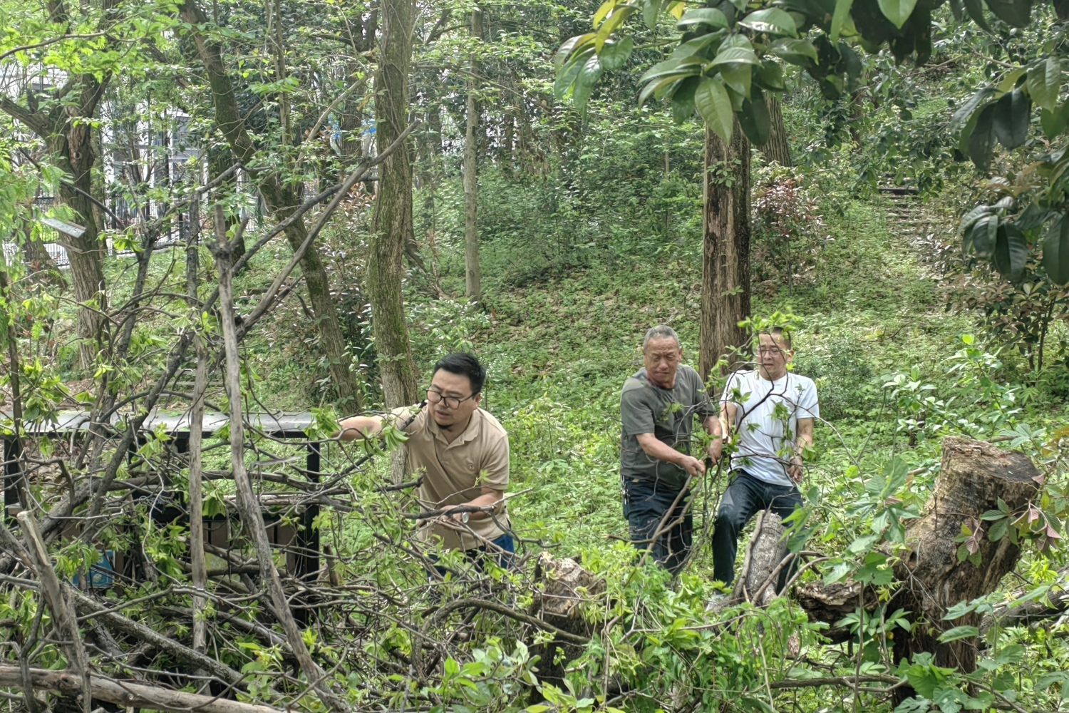 微信圖片_20240403145150.jpg 微信圖片_20240403145150.jpg