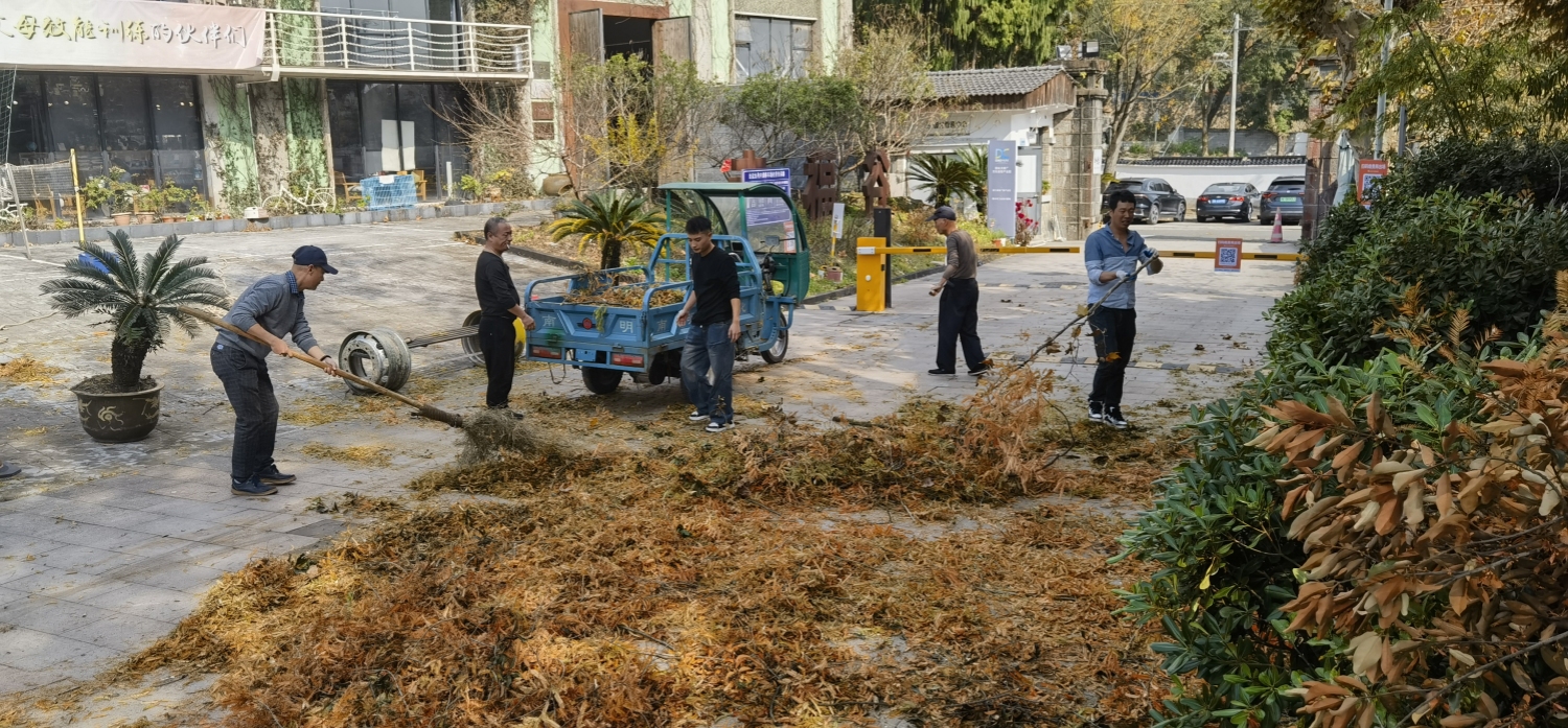 微信圖片_20241206085648.jpg 微信圖片_20241206085648.jpg